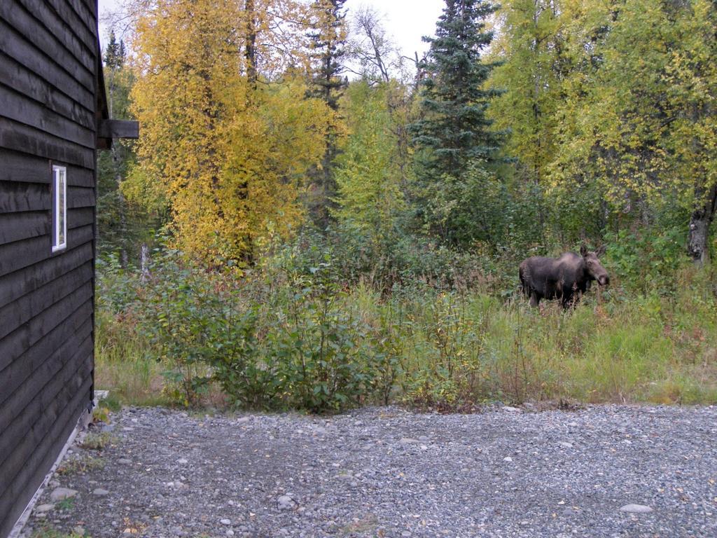 Grace And Bill'S Freedom Hills B&B Talkeetna Exterior foto