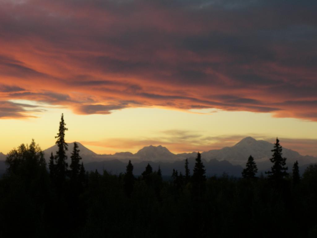 Grace And Bill'S Freedom Hills B&B Talkeetna Exterior foto