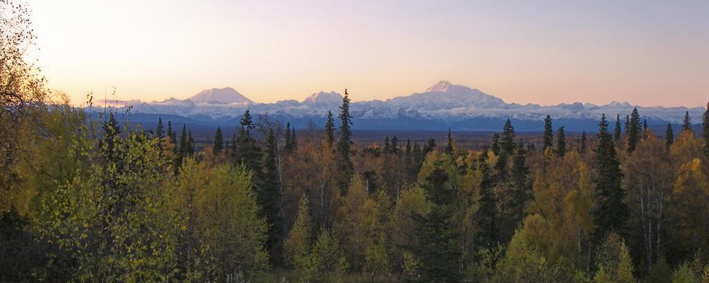 Grace And Bill'S Freedom Hills B&B Talkeetna Exterior foto